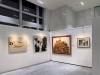 Art Gallery Hanging System